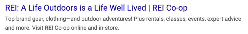 example of REI using their unique selling proposition in a paid ad