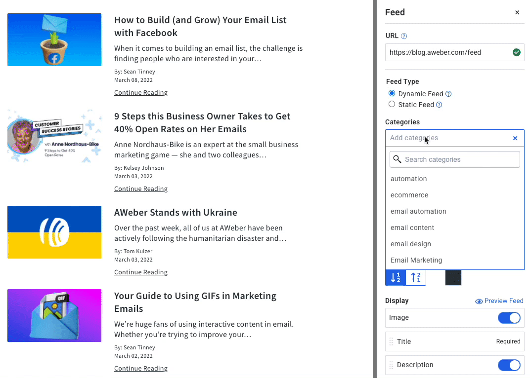 A GIF showing the options for dynamic feeds — categories, layout, order by date, text color, and display options.